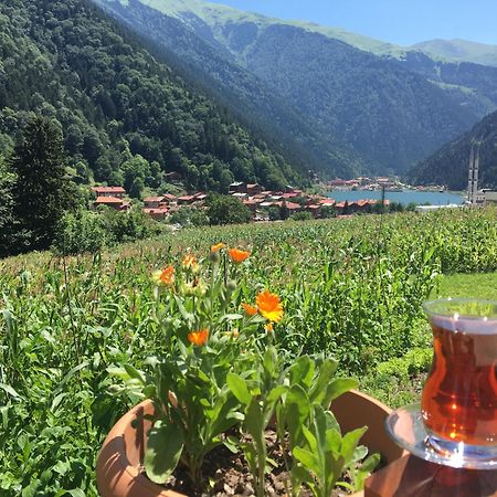 Zeren Pansiyon Kamalac Екстериор снимка
