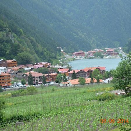 Zeren Pansiyon Kamalac Екстериор снимка